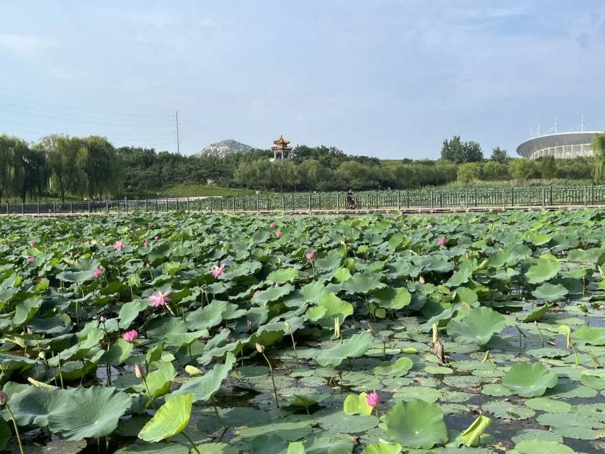 普通裝修3室1廳1衛(wèi)80m21000元/月