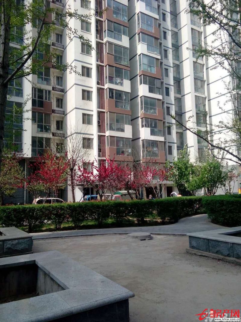 人和藍(lán)灣學(xué)區(qū)房家具全拎包就住