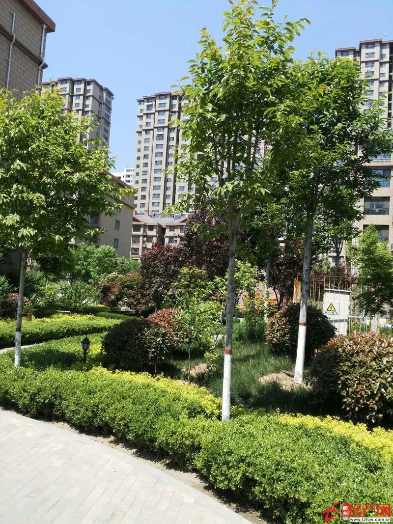 善南小區(qū)多層高，簡裝，有證，含儲有暖