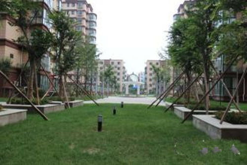 忠真新天地，精裝修，兩室一廳朝陽(yáng)，證滿兩年，可貸款。