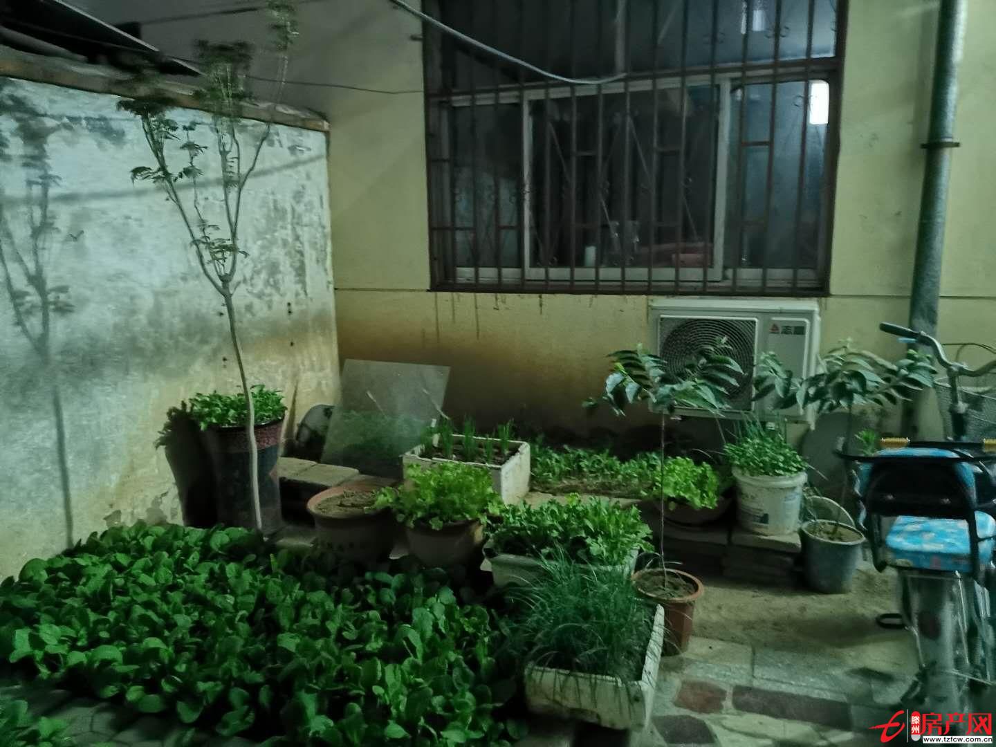 金城小區(qū)一樓帶院精裝修設(shè)施齊全戶型方正送儲(chǔ)藏室正滿五過(guò)戶費(fèi)低