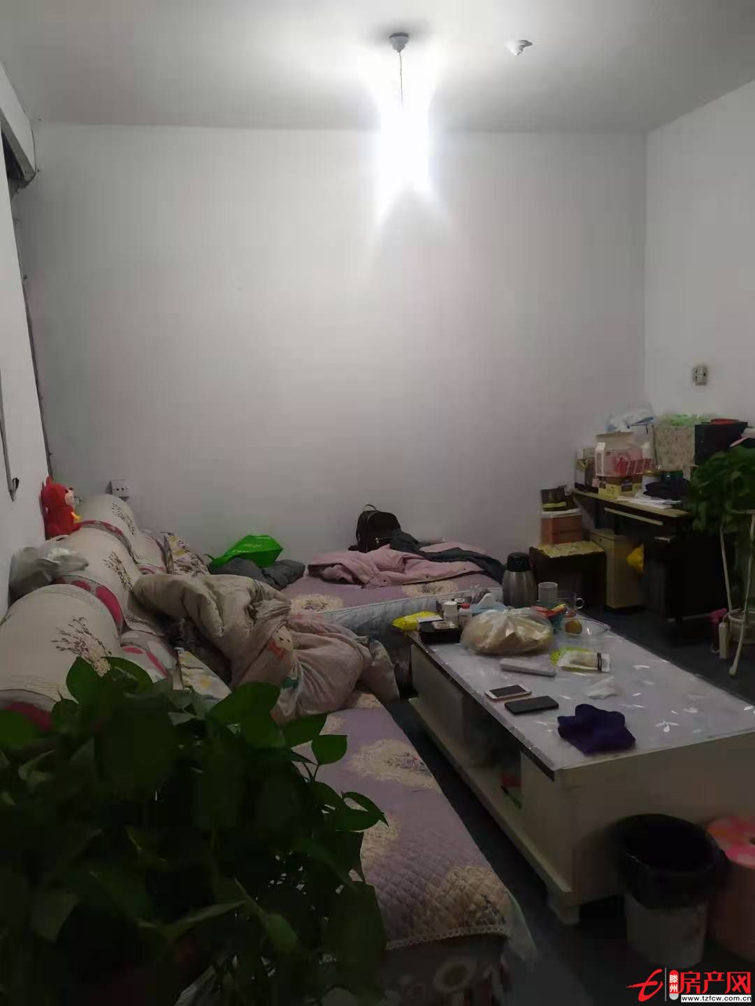 滕州饃饃莊南區(qū)真愛商城北全透明唯一房