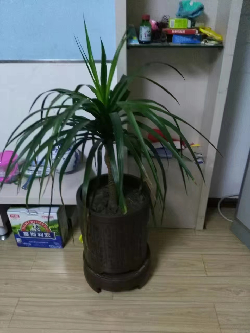 普通裝修2室2廳1衛(wèi)113m21900元/月