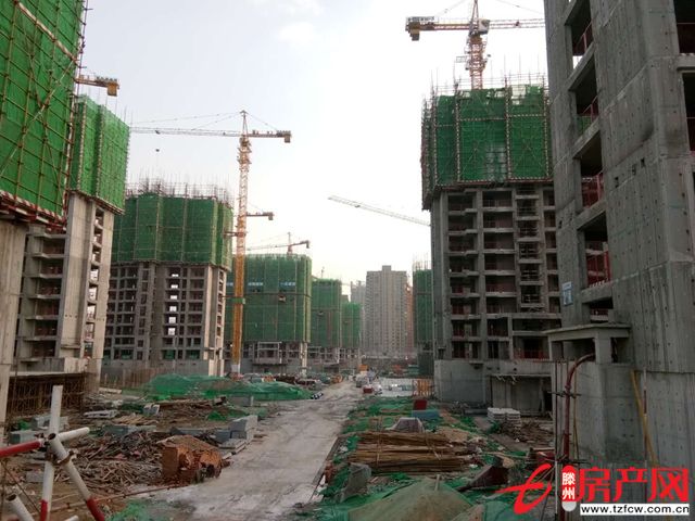 實景圖